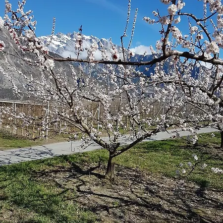 Pensión Le Nid'arret *